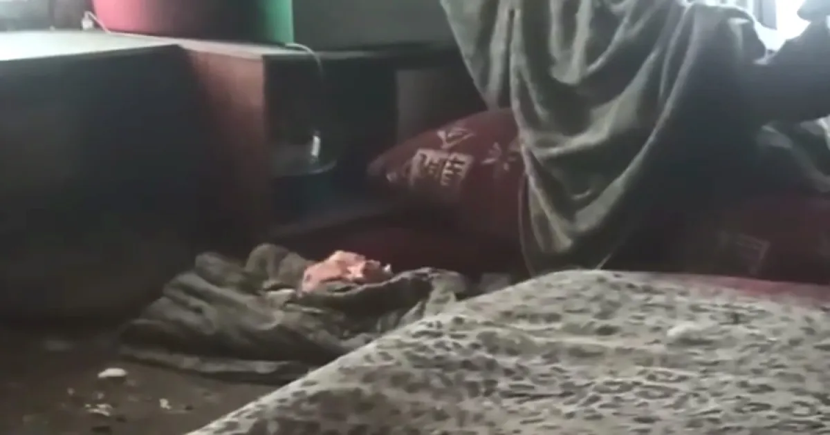 Хата